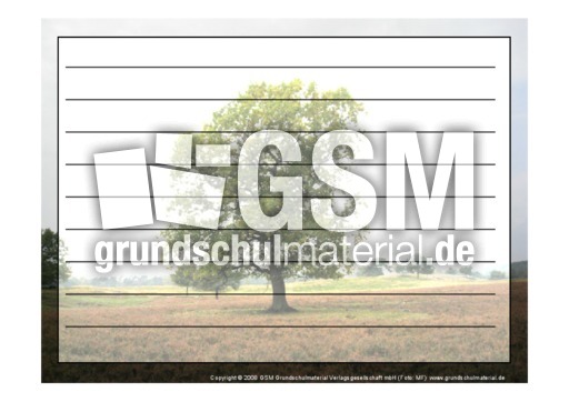 Foto-Schmuckblatt-Bäume-7.pdf